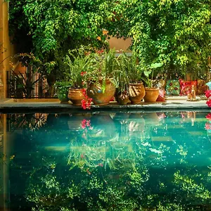 Roxanne 3* Marrakesh